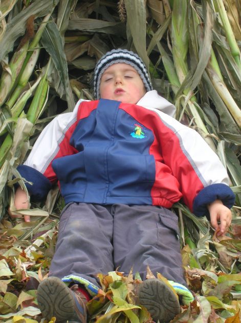 A kukoricakuckóban